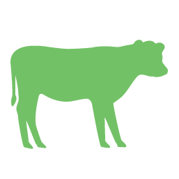 cow Logo