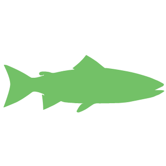 fish Logo