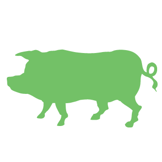 pig Logo