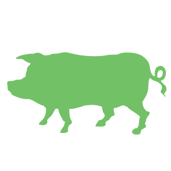 pig Logo