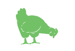 Meat Chickens Icon