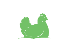 Layer Hens Icon